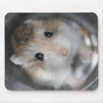 Looking up - Tac Mousemat mousepads