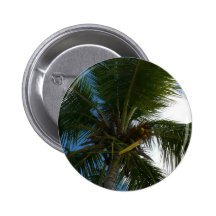 Looking Up to Coconut Palm Button
