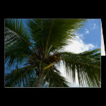 Looking Up to Coconut Palm Card