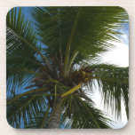 Looking Up to Coconut Palm Cork Coaster Set