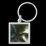 Looking Up to Coconut Palm Keychain