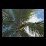 Looking Up to Coconut Palm Kitchen Towel