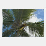 Looking Up to Coconut Palm Kitchen Towel