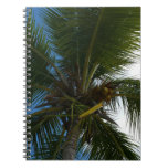 Looking Up to Coconut Palm Notebook