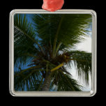Looking Up to Coconut Palm Ornament