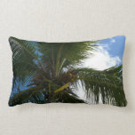 Looking Up to Coconut Palm Pillow