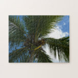 Looking Up to Coconut Palm Puzzle