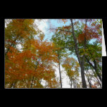 Looking Up to Fall Leaves Card