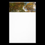 Looking Up to Fall Leaves Stationery