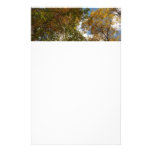 Looking Up to Fall Leaves Stationery