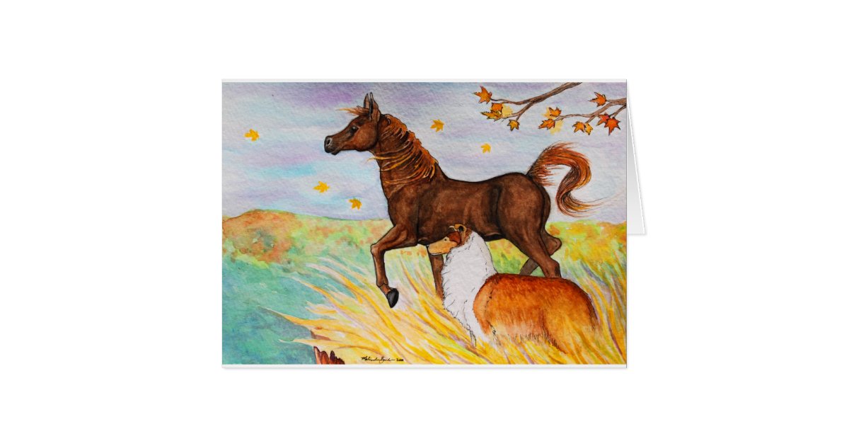4 x 6 notecard