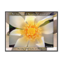 Looks at the Heart postcards by dollargrafix Looks at the Heart postcards