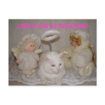 LOOKS CAN BE DECEIVING POST CARDS