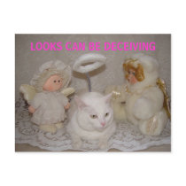 LOOKS CAN BE DECEIVING POST CARDS