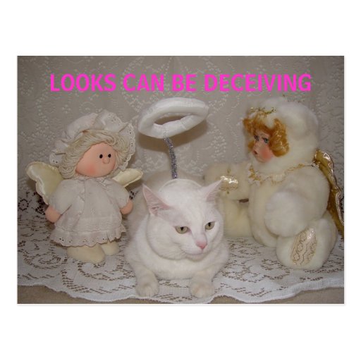 LOOKS CAN BE DECEIVING POSTCARD Zazzle