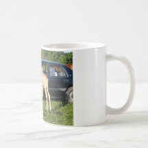 Looks Closer in Mirror Horse Coffee Mug