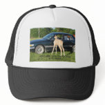 Looks Closer in Mirror Horse hats