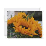 Looks Like a Sunflower Invitations