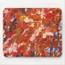 Looks like Fall mousepads