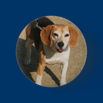 Looks like Shiloh buttons by sumiko Looks like Shiloh buttons