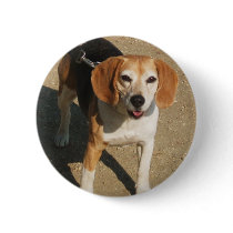 Looks like Shiloh buttons