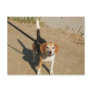 Looks like Shiloh Post Card