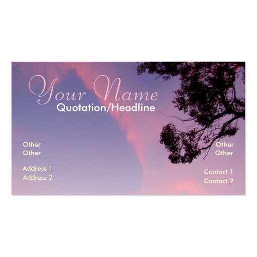 LookUp 2da Skies Business Card