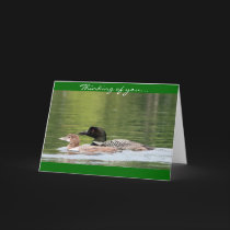 Loon and baby - thinking of you cards