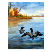 Loon Dance II Postcard