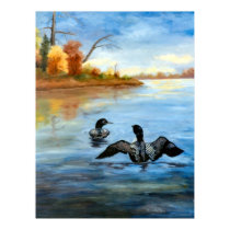 Loon Dance II Poster posters