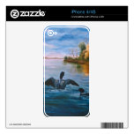 Loon Dance IPhone 4/4S Skin Skins For iPhone 4
