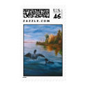 Loon Dance Postage Stamp by bmthour Loon Dance Postage Stamp