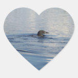 Loon on the lake sticker