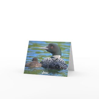 Loon Parent with Baby Photo Greeting Card card