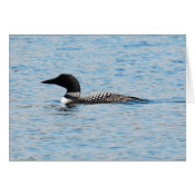 Loon Silhouette card