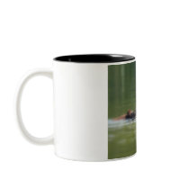 Loon with chick Coffee Mug by shellmart Loon with chick Coffee Mug