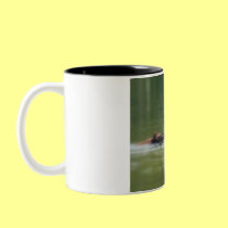 Loon with chick Coffee Mug