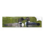 Loons Bumper Stickers