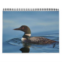 Loons on the Rideau Wall Calendar