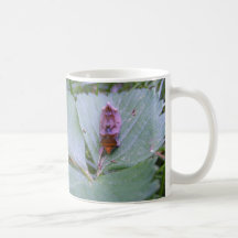 Looper moth ~ mug