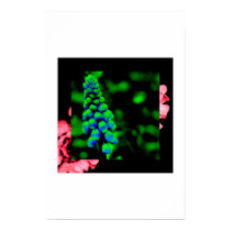 loopy lupon posters