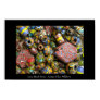beads, colorful, antique, millefiori, photograph