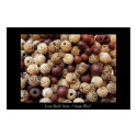 Loose Beads Series - Vintage Wood posters
