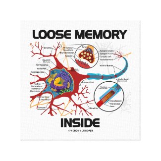 Loose Memory Inside Neuron Synapse Geek Humor Canvas Print