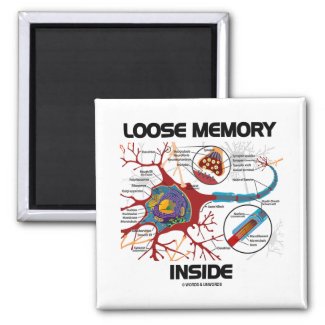 Loose Memory Inside (Neuron / Synapse) Fridge Magnets