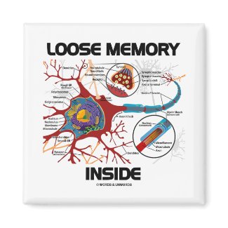 Loose Memory Inside (Neuron / Synapse) Fridge Magnets