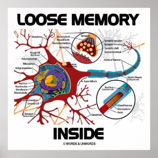 Loose Memory Inside (Neuron / Synapse) Posters