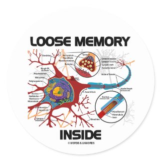 Loose Memory Inside (Neuron / Synapse) Round Sticker