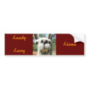 Looshy Llama Larry bumper stickers