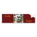 looshy Llama Larry bumper stickers